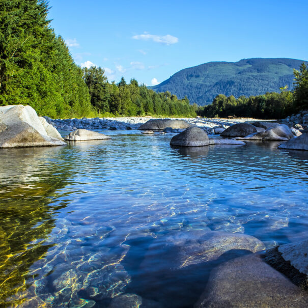 Fraser River British Columbia